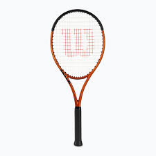 BURN 100LS V5.0